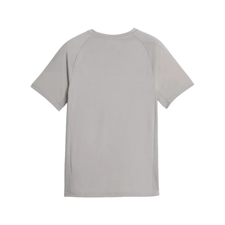 Футболка Puma Evostripe Tee B 1