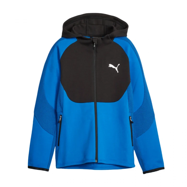 Толстовка Puma Evostripe Full - Zip Hoodie Dk B Myrtle 1