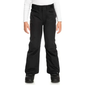 Штаны Roxy Backyard