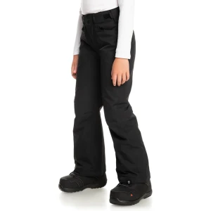 Штаны Roxy Backyard 1