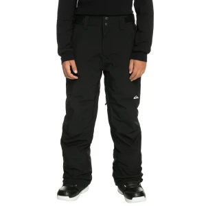 Штаны Quiksilver Estate