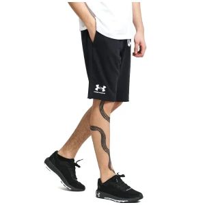 Шорты Under Armour Rival Terry Short