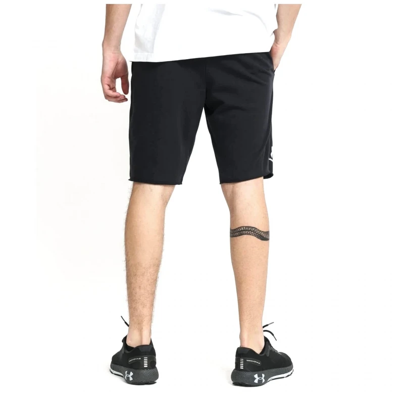 Шорты Under Armour Rival Terry Short 2