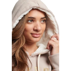 Худи Superdry D4 Ovin Luxe Metallic Logo Hoodie 3